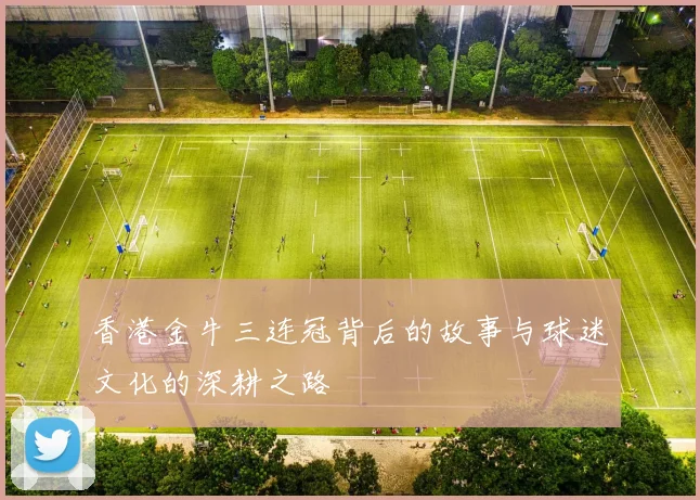 香港金牛三连冠背后的故事与球迷文化的深耕之路